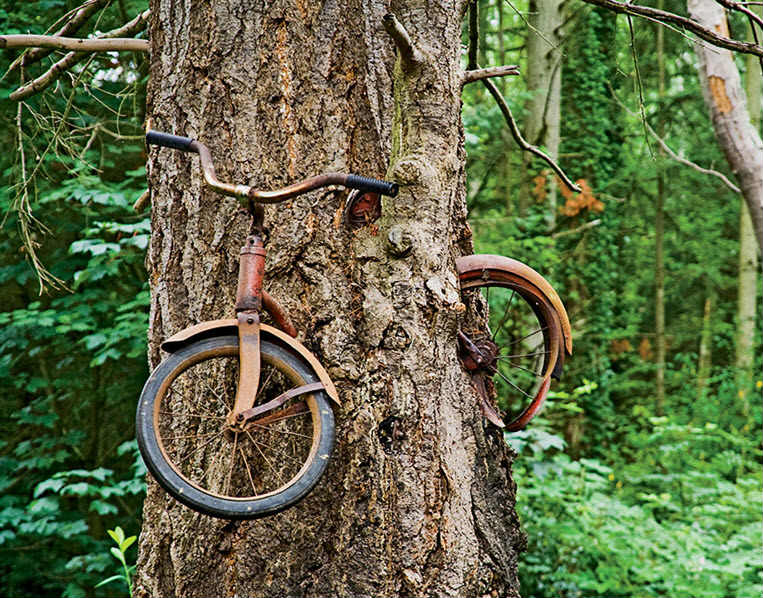 La verdadera historia dela bicicleta incrustada en el árbol