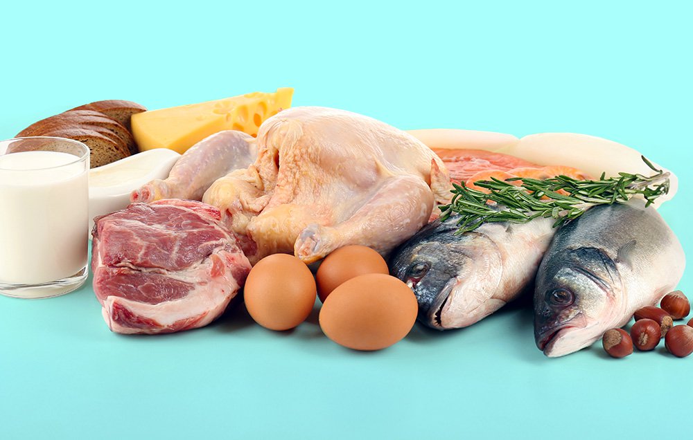 Which high-protein diet is best: Atkins, Dukan, or Ketogenic?