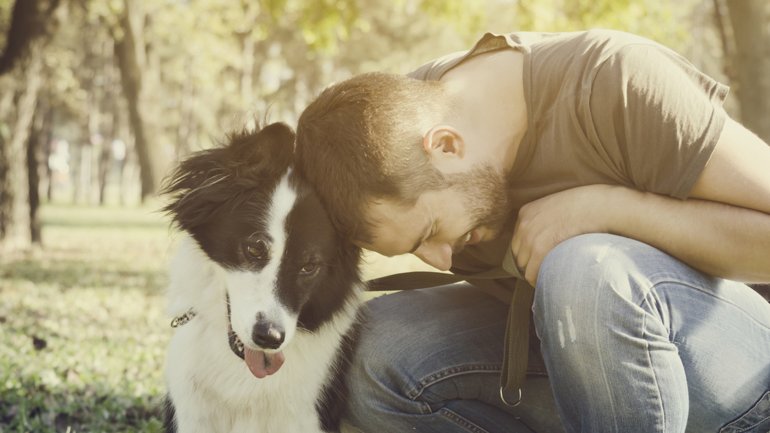 Ahora es verdad científica: los perros reconocen las emociones humanas