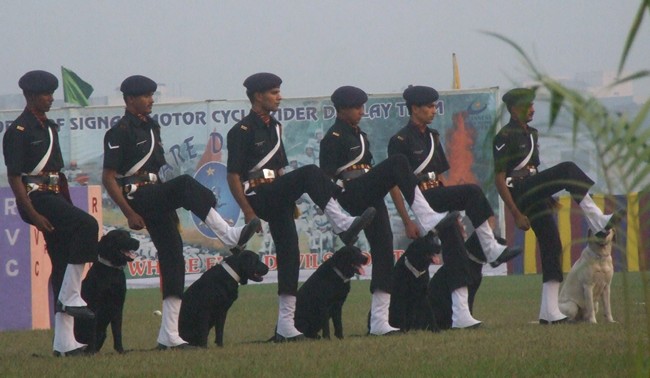Army Dogs Will Walk The Republic Day Parade For The First Time In 26 Years