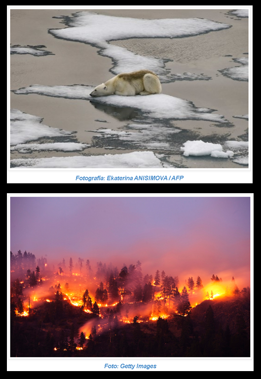  ¿Cuál es la diferencia entre cambio climático y calentamiento global?