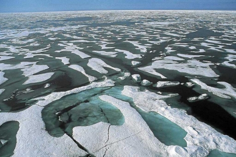 El Ártico perderá su hielo en verano dentro de 4 años'