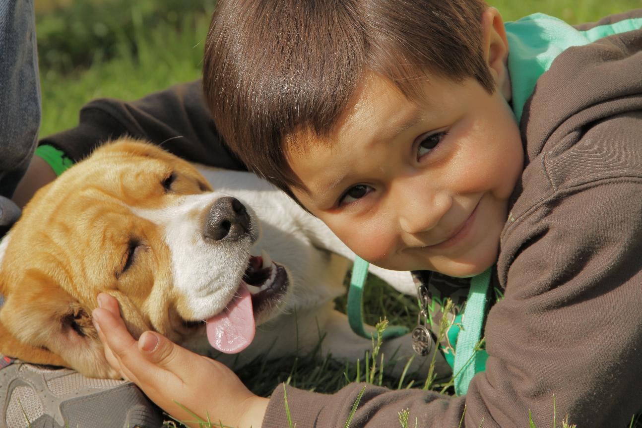 Un niño de 6 años sorprende con su respuesta de por qué los perros viven menos que las personas
