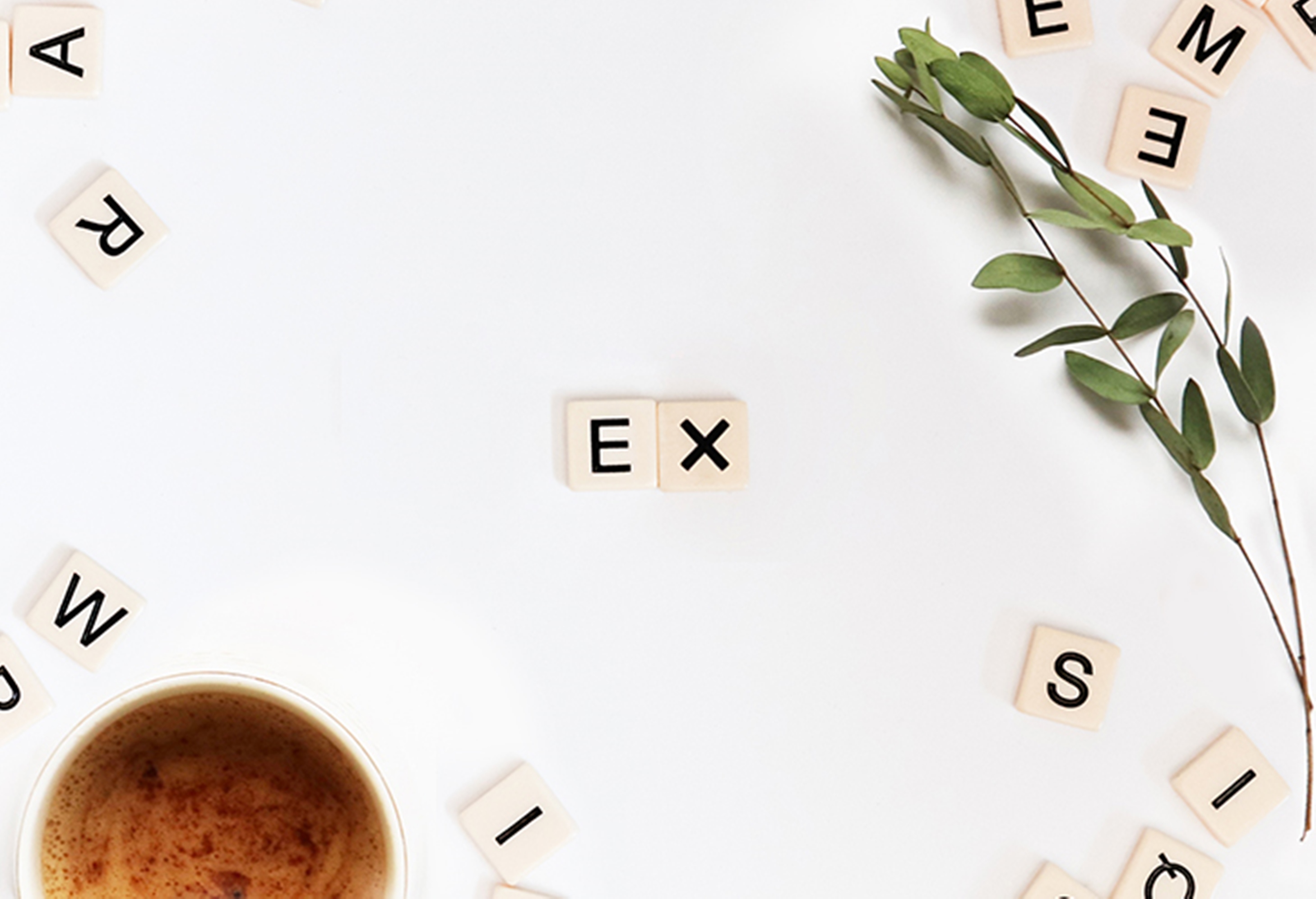  ¿Cómo se utiliza el prefijo "ex-"?