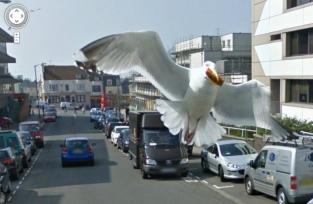 50 funny pictures taken by Google street car...