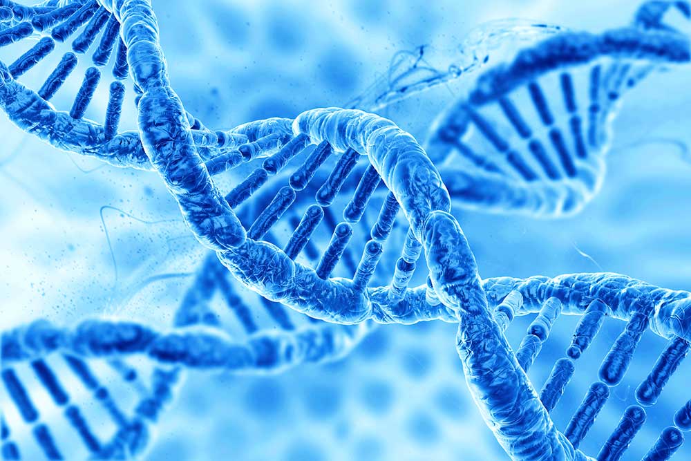 5 Health conditions that can be passed down through your genes