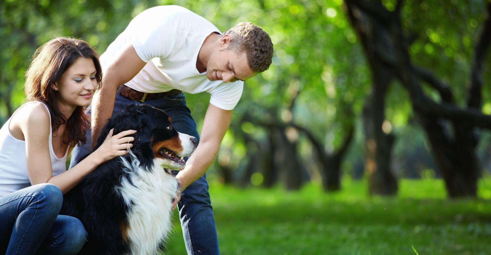 10 reasons animal lovers make the best relationship partners