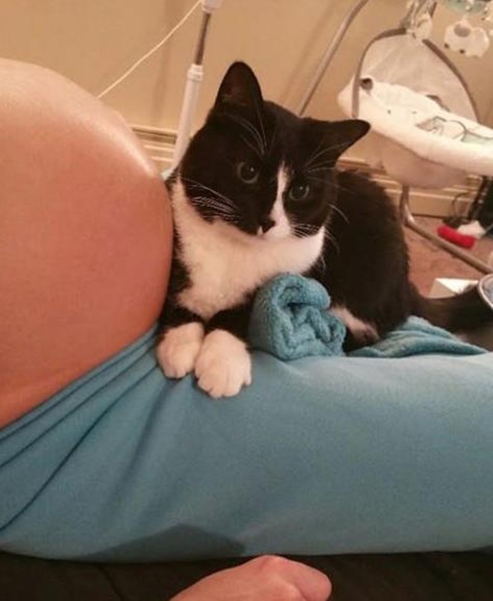 This Kitty Has Been Guarding Her Little Human Since Before He Was Born