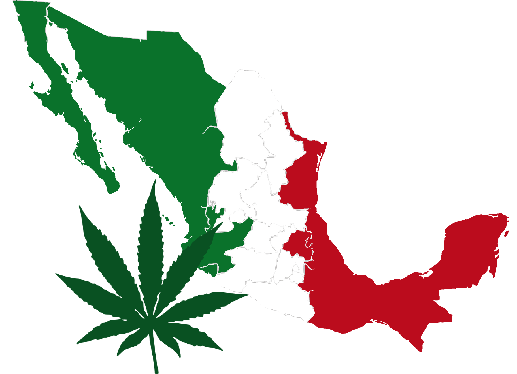 En el 2015 la marihuana será legal en todo México.