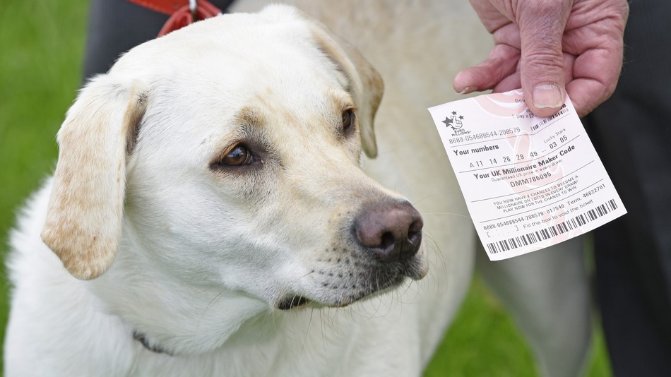 This dog helped a British couple double their lottery win