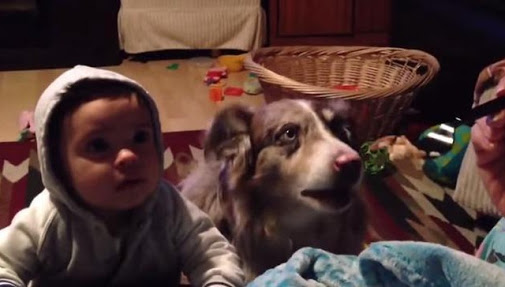 El bebé intenta hablar pero el perro se adelanta