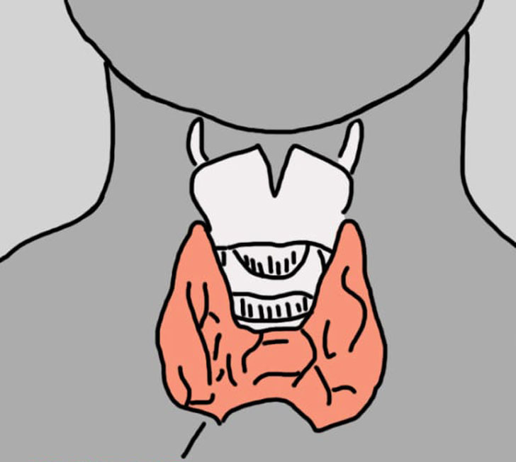 12 señales que indican que algo anda mal con tu tiroides