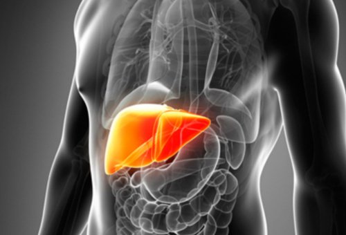 12 foods that help your liver detox your body