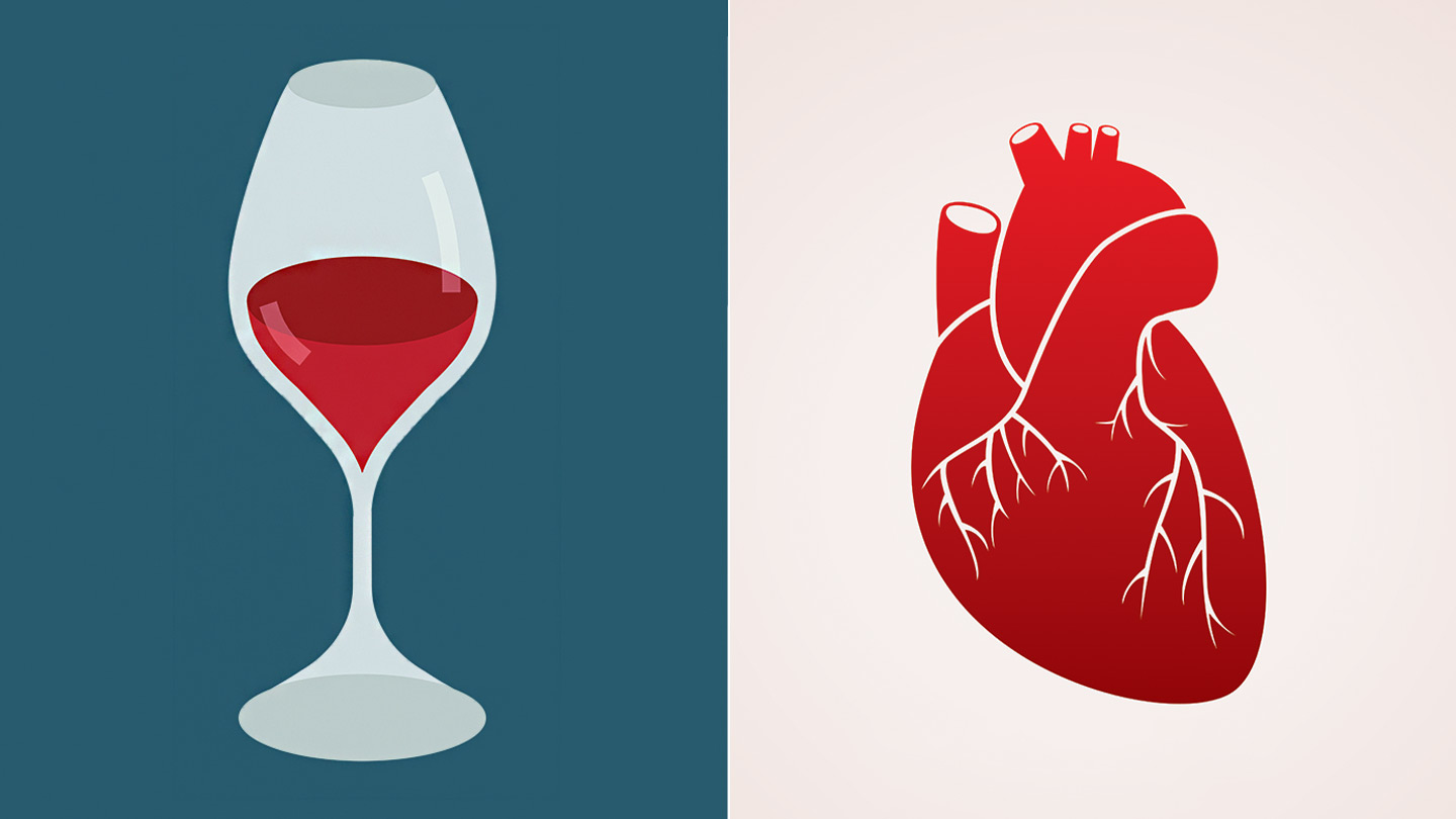 How exactly can alcohol protect your heart?