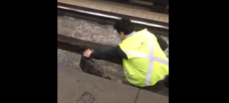 Chofer de Metro detuvo tren para salvar a perrito