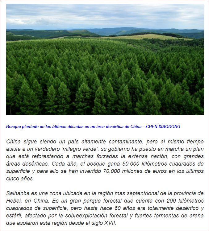  China reverdece el planeta: reforesta el equivalente a Aragón cada año