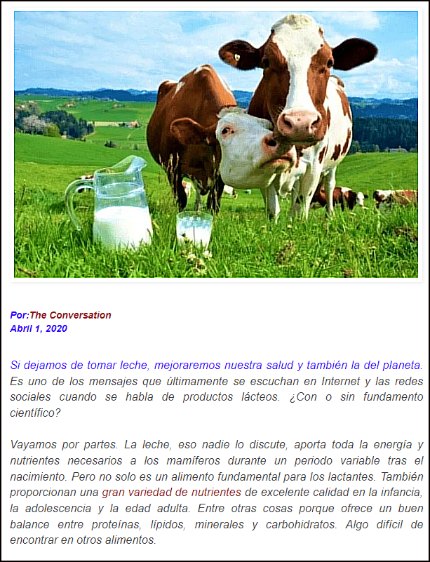  Todos los bulos sobre lo de que la leche de vaca es muy mala para la salud de los humanos
