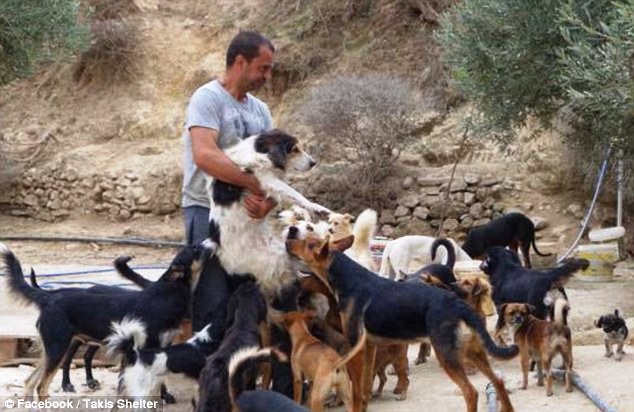 Deja su trabajo para cuidar a 200 perros abandonados y salvarles la vida