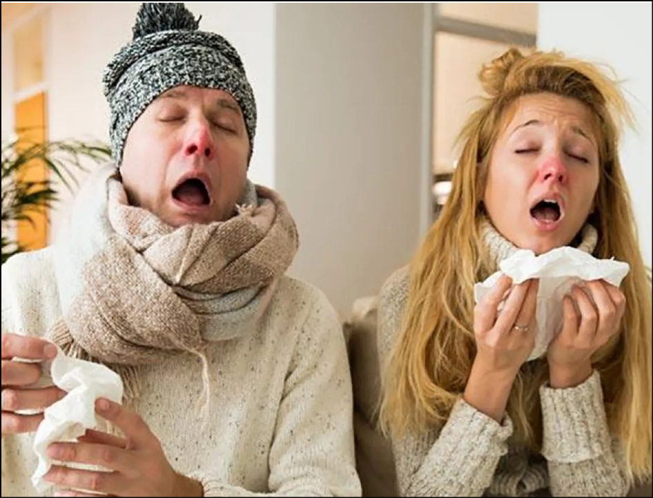  Resfriado común: Como tratarlo