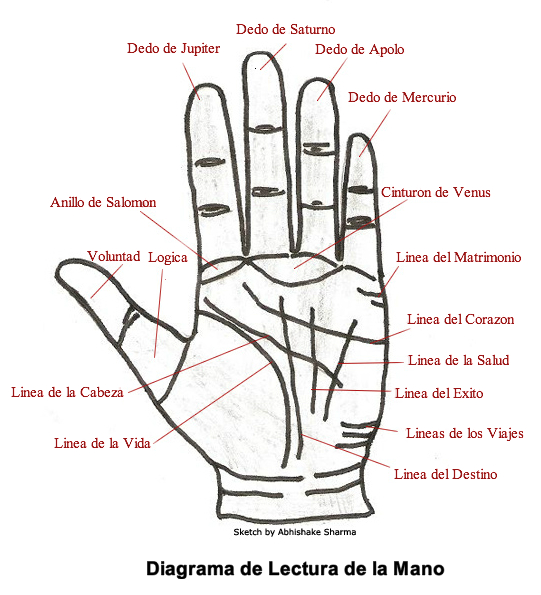 Aprende a leer la mano con esta sencilla guía
