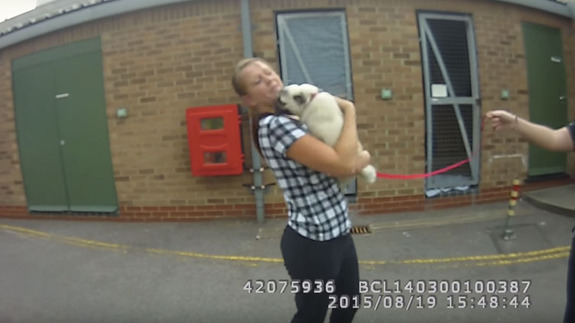 Stolen pug is absolutely delighted to be reunited with her human