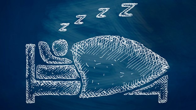 5 Things You Can Do About a Bad Night's Sleep