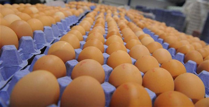21 cosas sobre la industria de los huevos que han intentado ocultarnos