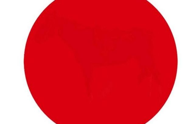 Can you see anything in the red dot? New optical illusion drives the internet mad