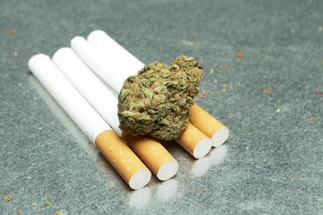Nicotine changes marijuana's effect on the brain