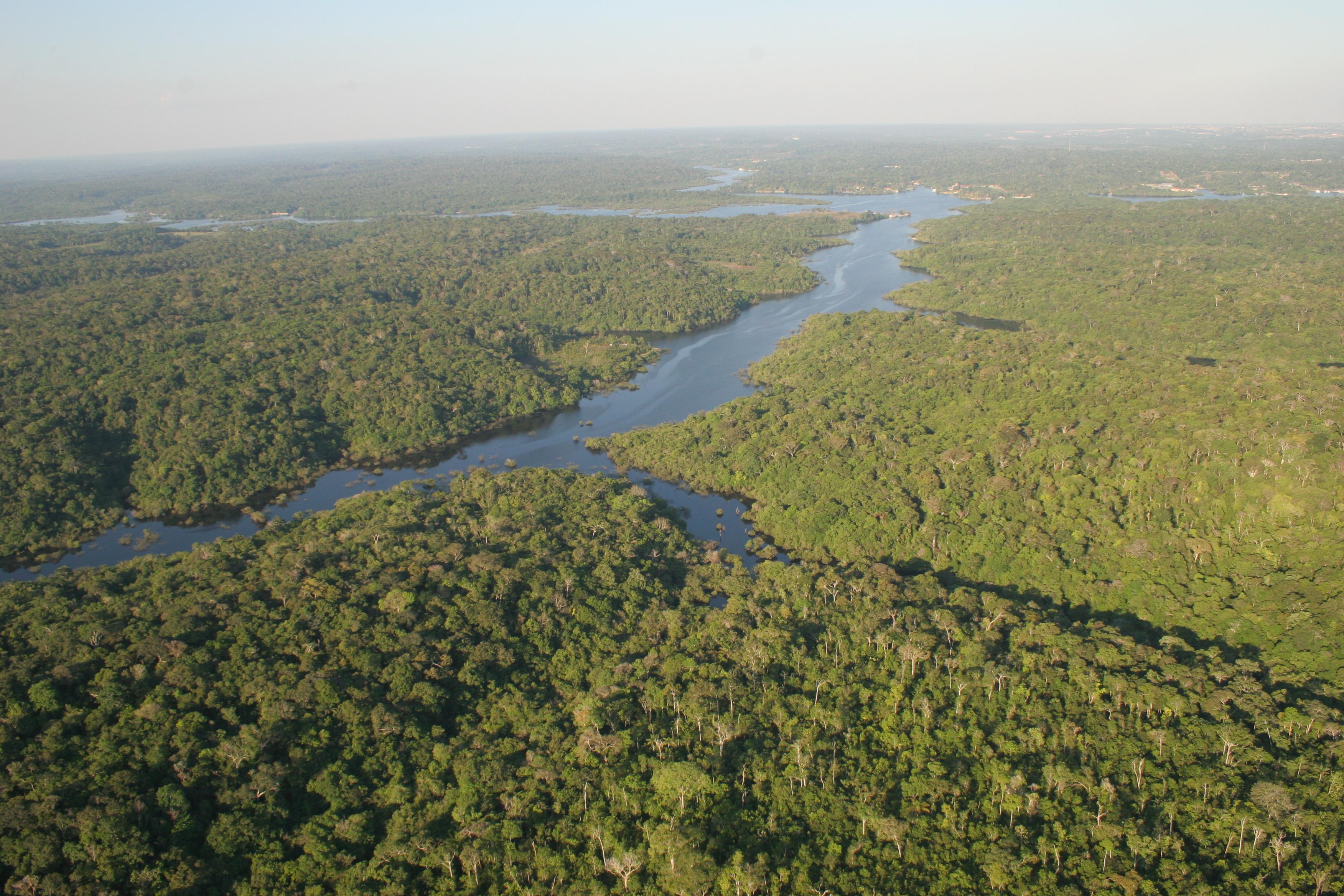 Descubren un ''cementerio'' indígena con 500 años en el corazón de la Amazonía brasile&ntild