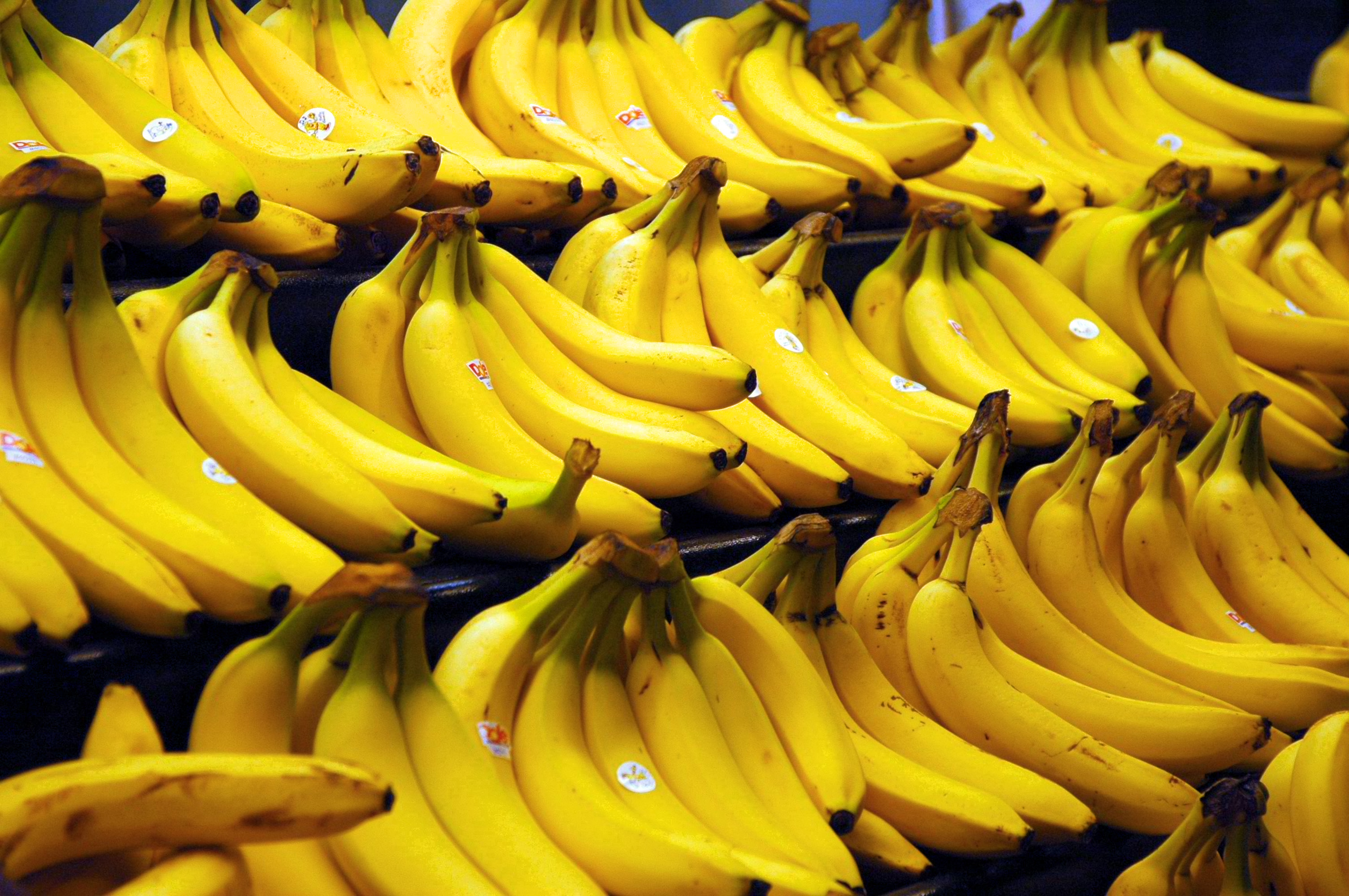WHY DO BANANAS GO BAD FASTER IN THE REFRIGERATOR?