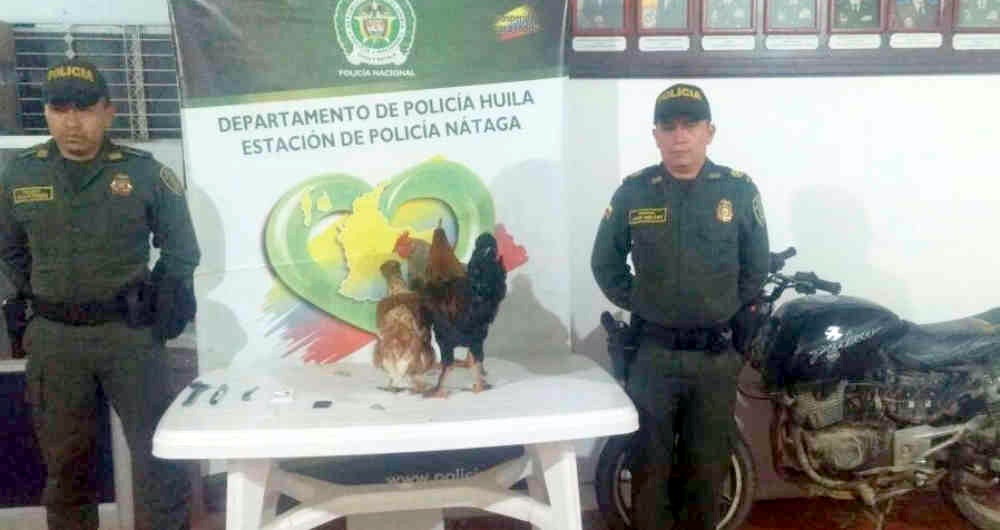  El robo de tres gallinas, fue noticia, en un pueblo tranquilo y sin violencia