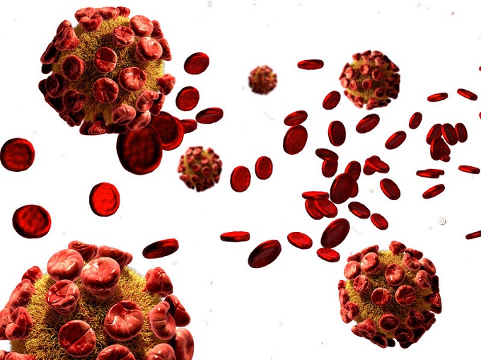 Toxoplasmosis: ¿Sabes cómo prevenirla?