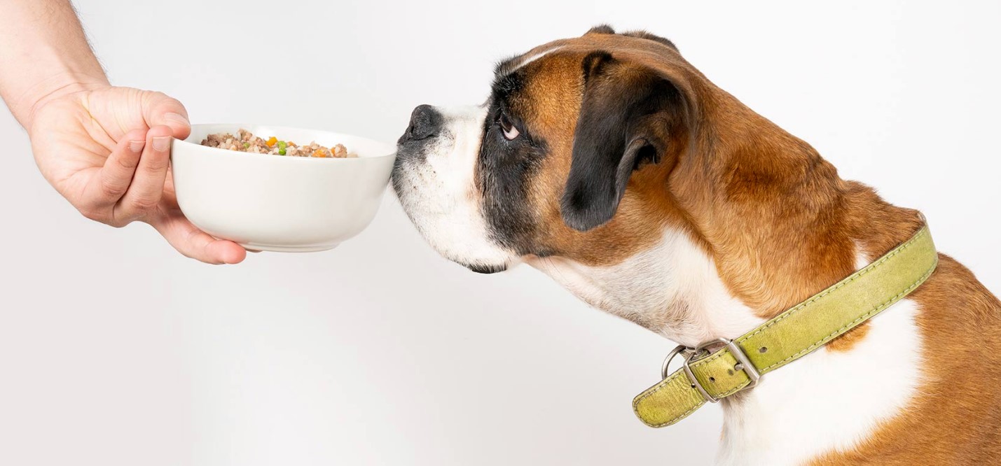Beneficios de los alimentos naturales para mascotas
