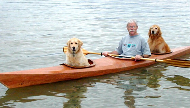 Man builds a special kayak to take his dogs on little adventures