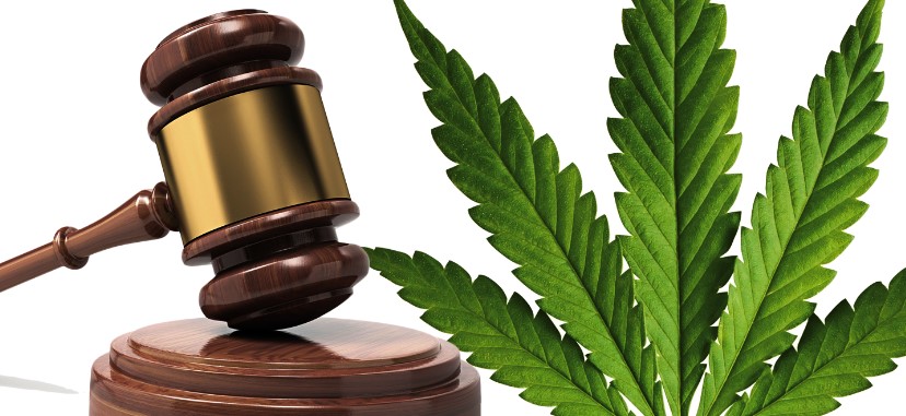 ¿Son legales los negocios de Cannabis en España?