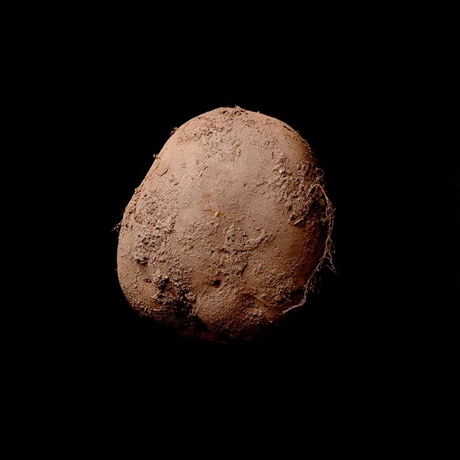 Un millón de euros por la foto de una patata