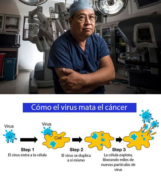Descubren un virus que mata todos los tipos de cáncer conocidos
