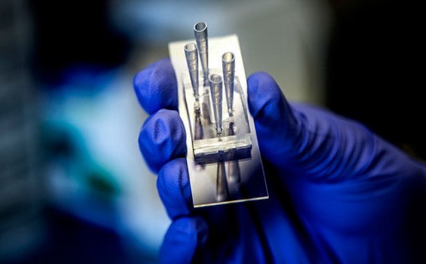 Amazing! Meet the microchip that is able to simulate a kidney
