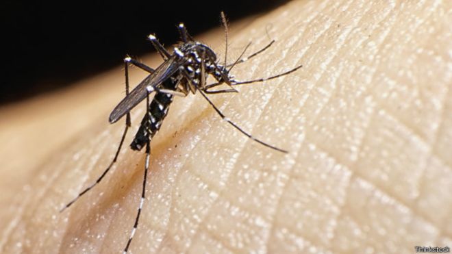 Confirman primer caso de zika por transmisión sexual en EE.UU.
