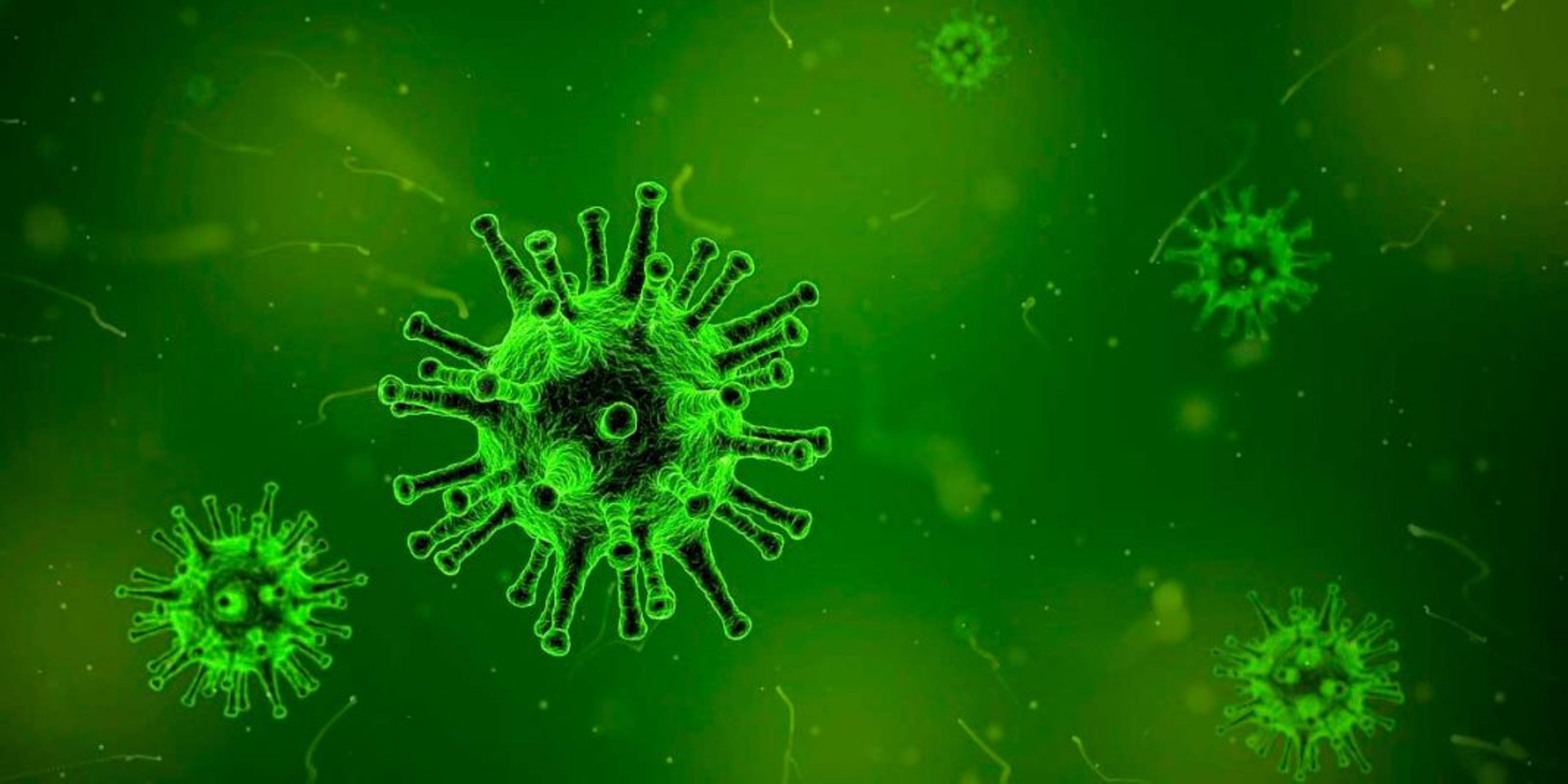  ¿Cuánto tiempo pueden vivir los virus en las superficies?