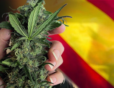 Barcelona primera ciudad española en legalizar la marihuana