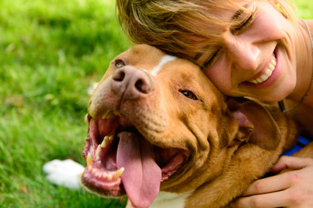 Según estudio, los perros quieren que los humanos sean felices