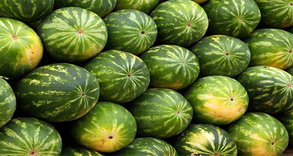 The Watermelon You Should Never, Ever Eat