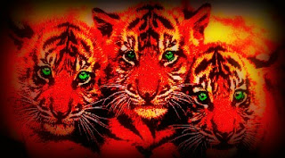 La leyenda de CAE: el tigre con tres cabezas