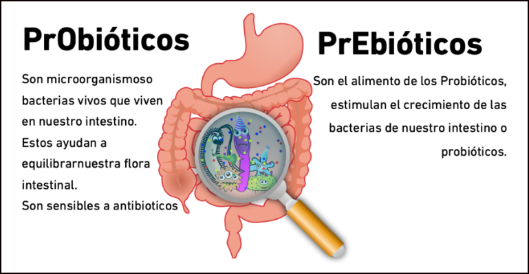  Prebióticos y Probióticos: No son lo mismo
