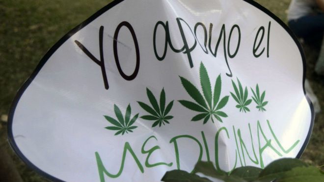 Colombia legaliza la marihuana para uso medicinal