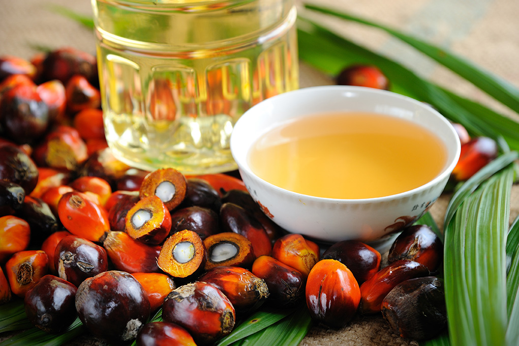 Lo que sucede en tu cuerpo cuando consumes aceite de palma