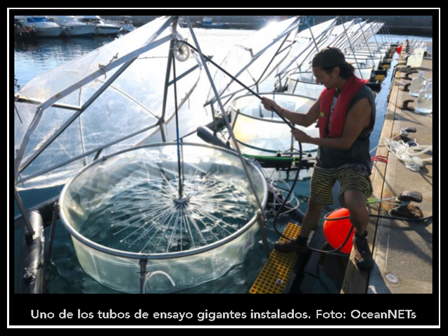Soluciones: Canarias, sede un experimento para acelerar la captación de CO2 por el mar