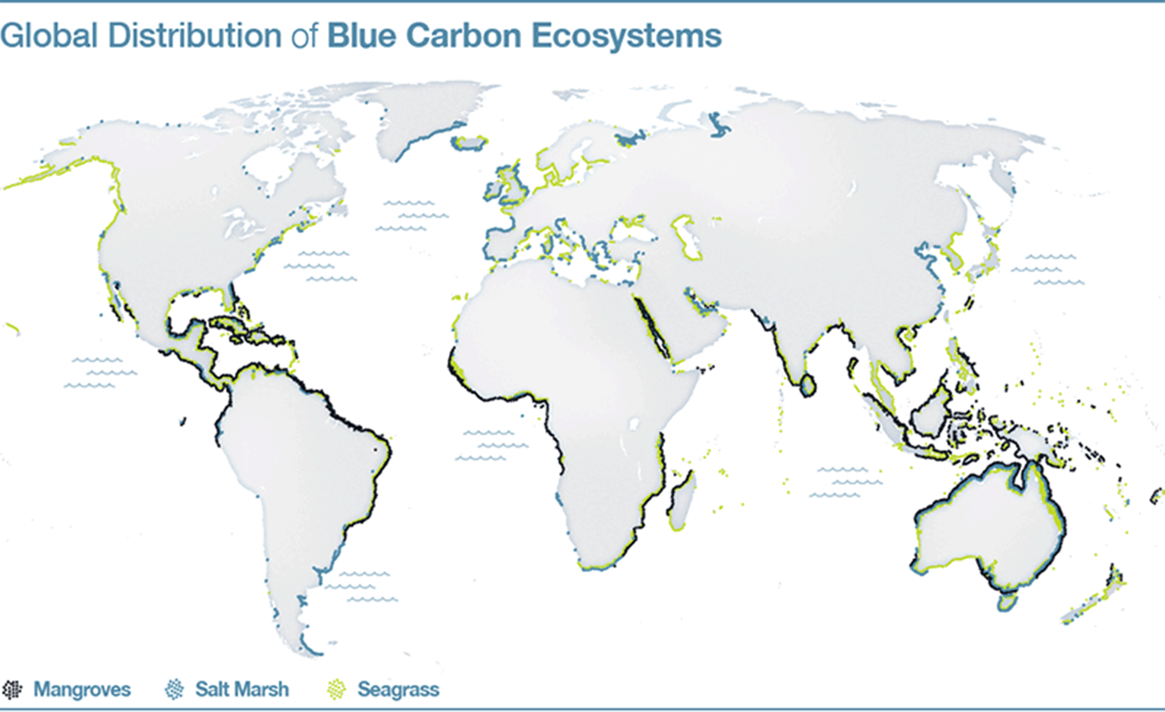  ¿Qué es el    carbono azul    y por qué es tan importante?